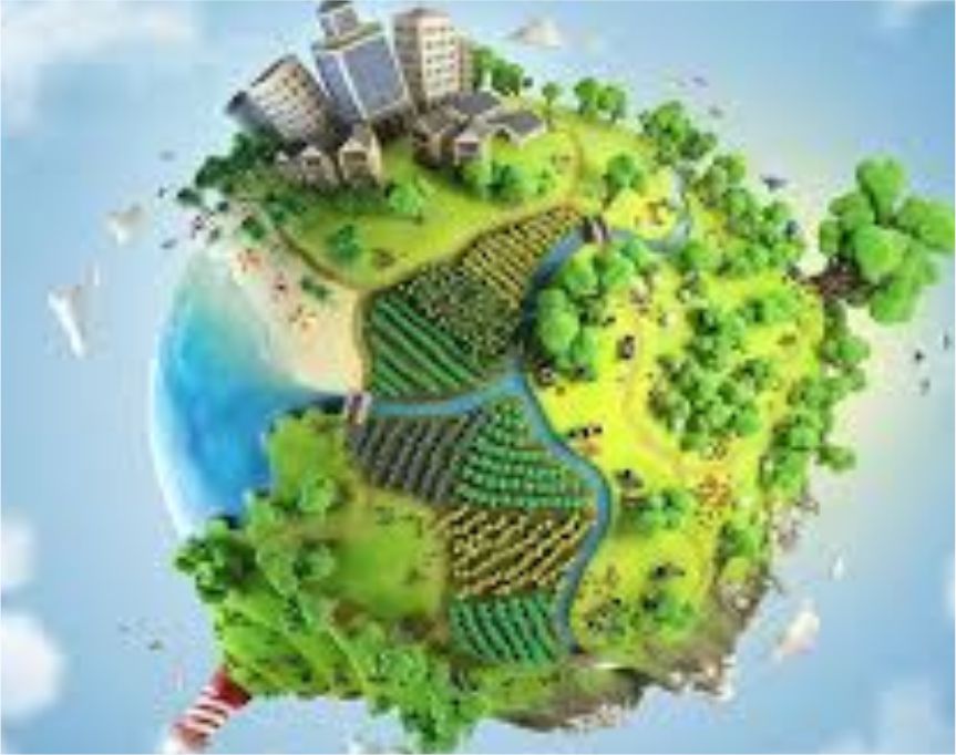 El impacto ambiental